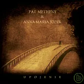 Pat Metheny / Upojenie