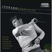 V.A. / Leonard Bernstein (4CD)