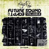 Aly & Fila / Future Sound Of Egypt Vol.2 (2CD)