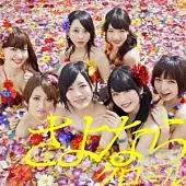 AKB48 / 再見自由式 (日本進口版 Type-B, CD+DVD+握手會參加券)