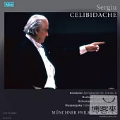 Celibidache with Munchner Philharmoniker / Celibidache (8LP)