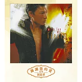 劉德華 / 夏日FIESTA