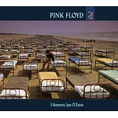 Pink Floyd / A Momentary Lapse of Reason (2016)