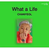 燦勳 EXO-SC - CASHBEE TRANSPORTATION CARD 交通卡 燦烈 (韓國進口版)