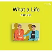 燦勳 EXO-SC - CASHBEE TRANSPORTATION CARD 交通卡 EXO-SC (韓國進口版)