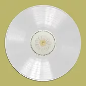 太妍 TAEYEON - WHAT DO I CALL YOU (4TH MINI ALBUM) LP VER. 黑膠唱片 限量版 (韓國進口版)