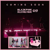 官方週邊商品 BLACKPINK COLLECTIBLE FIGURE 公仔【JISOO】(韓國進口版)