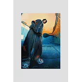 林宥嘉 / XIANG YU YI YANG 的海報 - 橘