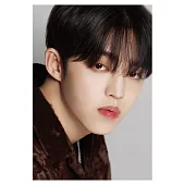 DICON D’FESTA SEVENTEEN DISPATCH 10TH ANNIVERSARY 寫真書 (韓國進口版) S.COUPS VER.