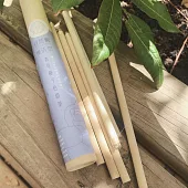 香草種子色鉛筆6入/盒