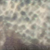 卡洛斯‧西帕 / OURSELVES, AS WE ARE