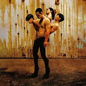 傻子與白痴 / 姿態