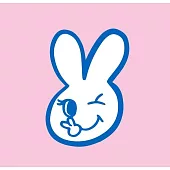 IRENE 1 Page of IRENE PHOTOBOOK 寫真書(韓國進口版)