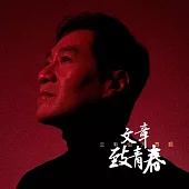文章 / 致青春