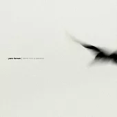 Yann Tiersen / Rathlin From a Distance / The Liquid Hour (進口版2LP黑膠唱片)