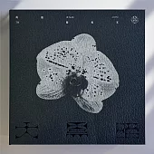 飢餓藝術家《大黑暗》