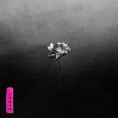 Little Simz / Lotus (進口版LP黑膠唱片)