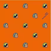 寵物店男孩 / 極