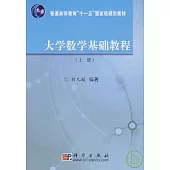 大學數學基礎教程(上冊)