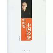 何新看中國經濟