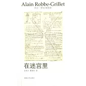 羅伯-格里耶作品選集2︰在迷宮里