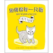 如何養好一只貓