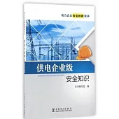 電力企業安全教育讀本：供電企業級安全知識