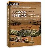 從馬賽馬拉到塞倫蓋蒂