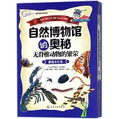 自然博物館的奧秘·無脊椎動物的繁榮