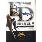 探索與發現：奇妙的海底世界