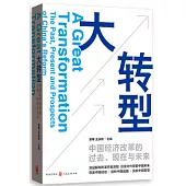 大轉型：中國經濟改革的過去、現在與未來