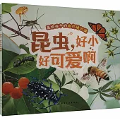 畫給孩子的自然通識課：昆蟲，好小好可愛啊