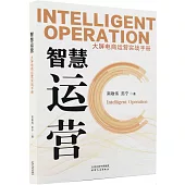 智慧運營：大屏電商運營實戰手冊