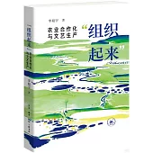 “組織起來”：農業合作化與文藝生產