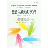 整合系統治療實踐：臨床工作者指南
