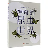 神奇的昆蟲世界