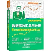 數據高效匯總與分析：Excel數據透視表應用大全(案例視頻精華版)