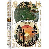 魔法森林：詩意地構建時間開始之前的世界