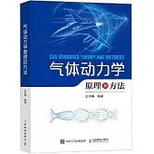 氣體動力學原理和方法