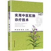 實用中醫肛腸診療技術