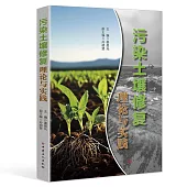 污染土壤修復理論與實踐