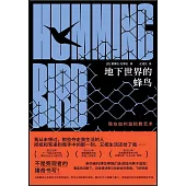 地下世界的蜂鳥