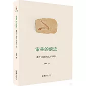 審美的痕跡：基於問題的文學認知