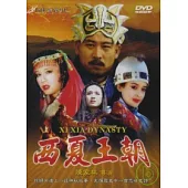 西夏王朝 (全40集) DVD