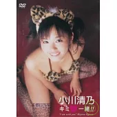 日本原裝進口寫真DVD【小川清乃】與你同在