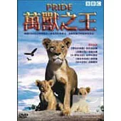 萬獸之王 DVD