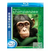 黑猩猩的世界 (藍光BD)