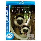 馬達加斯加 雙碟版 (藍光BD)