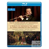帕胡德之無憂宮長笛協奏曲~向普魯士腓德烈大帝致敬 / 艾曼紐.帕胡德(長笛)、平諾克(大鍵琴) (藍光BD)