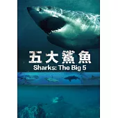 五大鯊魚 (DVD)